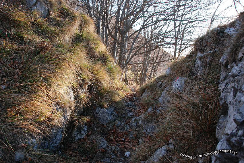 09 14241 Passo Sappli.JPG